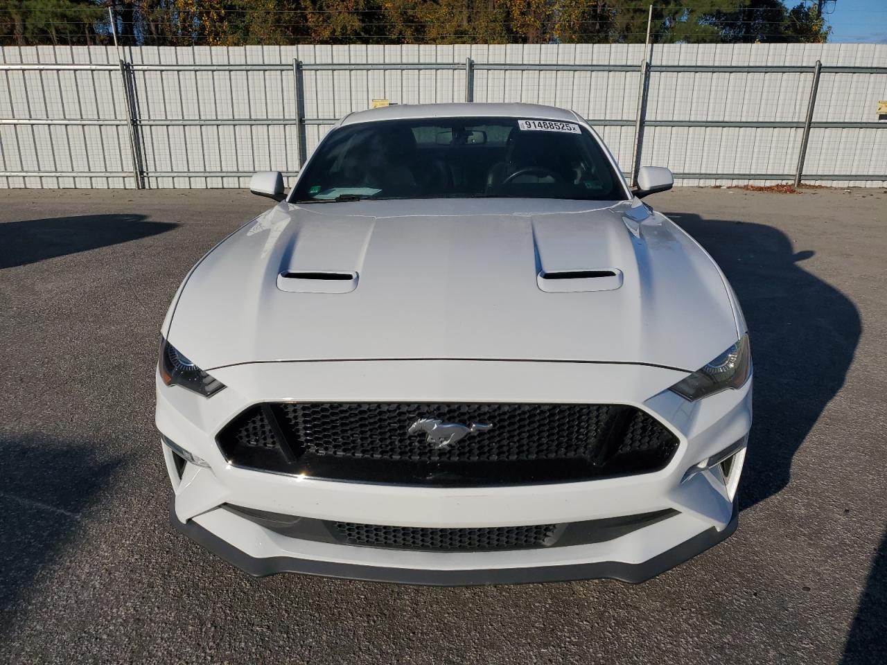 Ford Mustang Gt Image 8