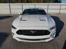 Ford Mustang Gt Image 8