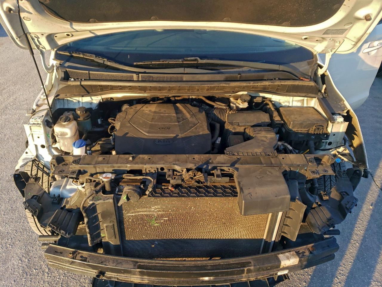 Kia Sedona L Image 13